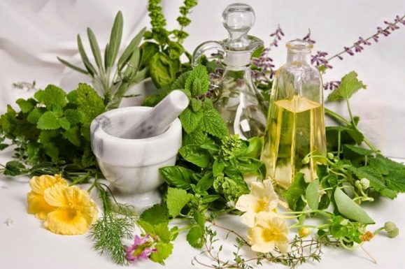 Các loại thảo dược trị thoái hóa cột sống có ở quanh nhà