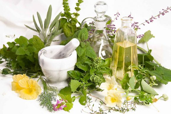 chữa viêm bàng quang bằng thuốc Nam
