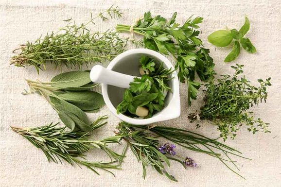 Chữa bệnh trĩ bằng dân gian có những ưu nhược điểm nhất định, người bệnh cần cân nhắc